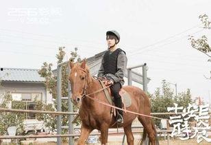 成人骑马的视频大全