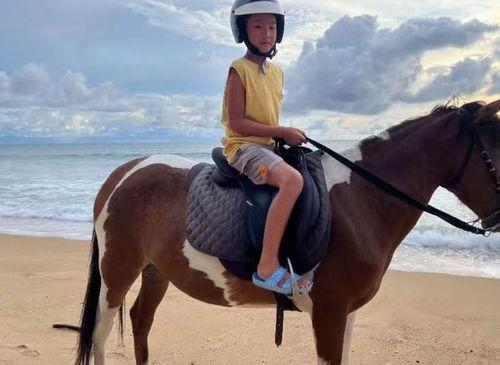 成人骑马的视频大全