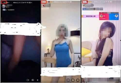 成人短视频z在线观看,成人内容在线观看的潮流与反思