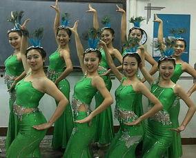 蟒川成人舞蹈视频大全集,舞动人生，尽享韵律之美