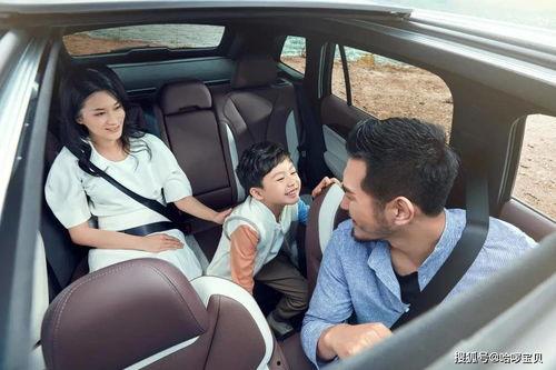 成人偏瘫学行车视频,挑战与突破