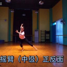 麦浪成人舞蹈教学视频,跟随成人舞蹈教学视频，轻松解锁舞蹈魅力