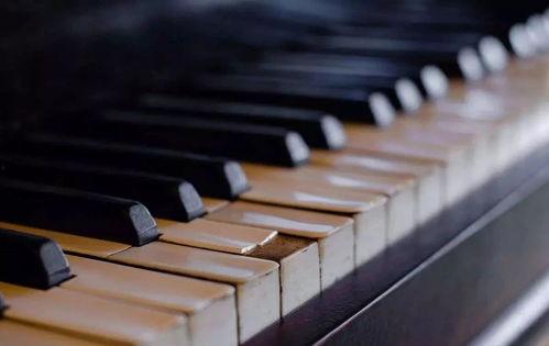 成人钢琴落叶怎么弹视频