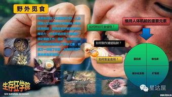 成人荒岛求生视频大全,揭秘生存技巧与真实挑战