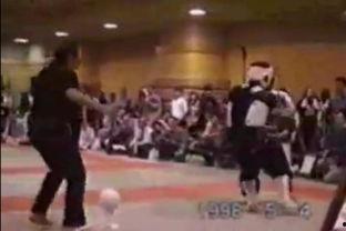 成人醉拳武术视频大全