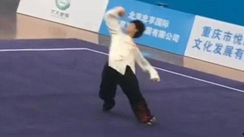 成人醉拳武术视频大全