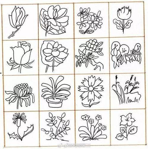 成人线条画教学视频全集,从入门到精通的绘画之旅