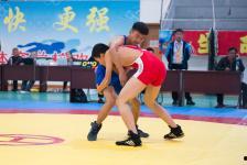 浙江成人摔跤比赛视频,浙江成人摔跤比赛精彩瞬间回顾