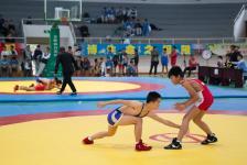 浙江成人摔跤比赛视频,浙江成人摔跤比赛精彩瞬间回顾