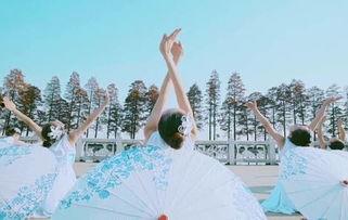 成人古典健身操视频,唤醒身心，重拾活力