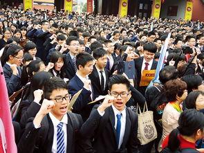 成人告别仪式视频素材,缅怀与传承的深情告别