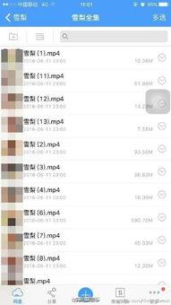 怎样能找到成人直播视频,如何轻松找到并观看