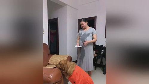 成人正确擦屁股的方法视频,轻松告别尴尬，守护健康