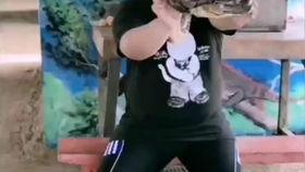 成人散打女子视频播放,激情碰撞！成人散打女子精彩对决视频回顾