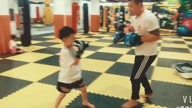 成人散打练习视频,跟随视频学招式