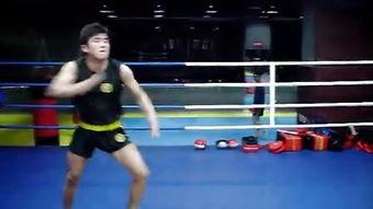 成人散打练习视频,跟随视频学招式