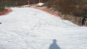 成人滑雪滑得好的视频,一镜到底的精彩滑雪瞬间