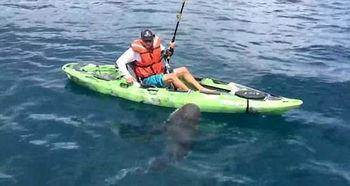 成人单人皮艇视频大全,单人皮艇视频大全解析