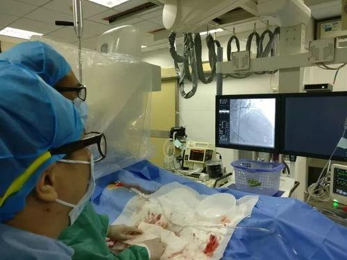 成人胸外按压解说视频,关键时刻的生命守护指南