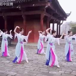 舞蹈成人拍摄动作视频,成人舞蹈拍摄动作集锦赏析