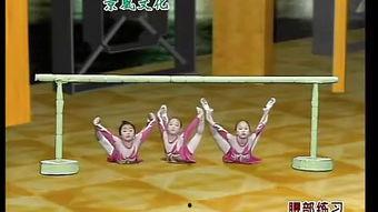 蓝精灵视频成人舞蹈,穿越时空的奇幻之旅