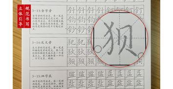 成人硬笔练字讲解视频大全,视频大全精华解析