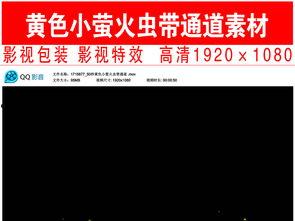 成人演讲模板大全视频播放,视频播放中的演讲技巧解析