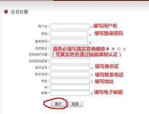 成人酒吧应聘流程视频,从面试到入职的精彩瞬间