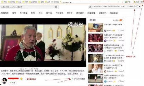 66成人精品视频下载