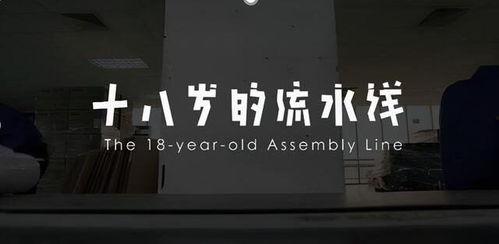 成人打工素材图片高清视频,高清视频中的成人奋斗瞬间