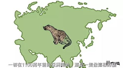 怎么让宠物变成人类视频,揭秘如何将宠物变身人类 第2张 怎么让宠物变成人类视频,揭秘如何将宠物变身人类 第2张