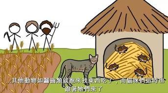 怎么让宠物变成人类视频,揭秘如何将宠物变身人类 第3张 怎么让宠物变成人类视频,揭秘如何将宠物变身人类 第3张