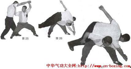 成人擒拿拳教学视频大全  第3张