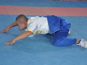 成人的武术视频