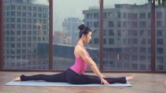 成人平衡板瑜伽视频,成人平衡板瑜伽视频精华解析  第2张