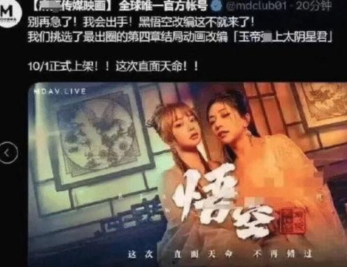 本色视频下载成人版,成人版内容深度解析  第2张