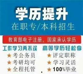 成人考试真实视频,真实视频背后的学习与挑战